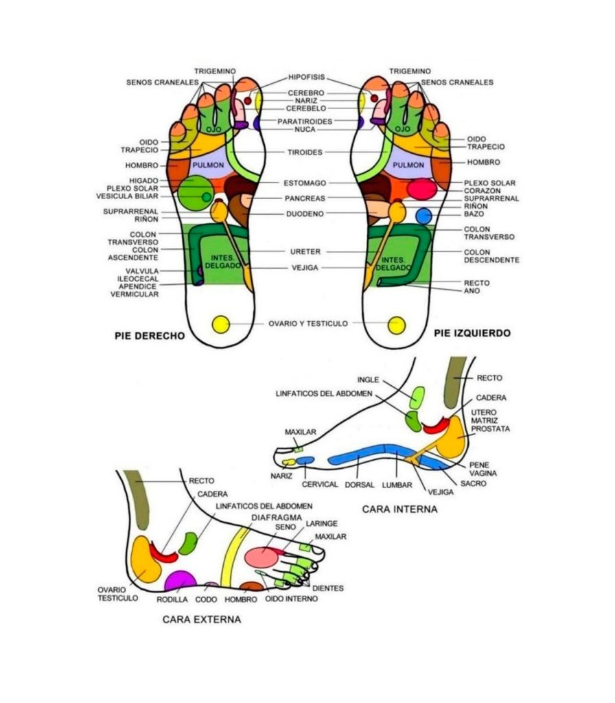 map of foot reflexology points